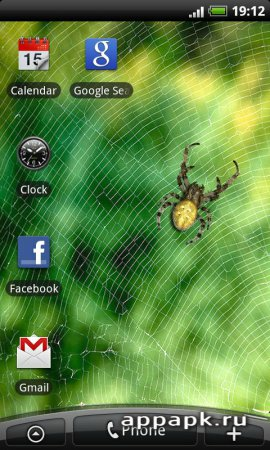 Spider - Live Wallpaper живые обои с пауком на андроид