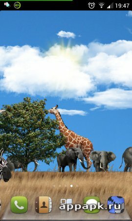 Safari Live Wallpaper живые обои с животными