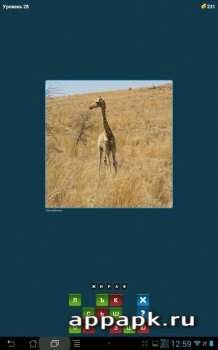 Что за Клетками ответы 1-30 уровень