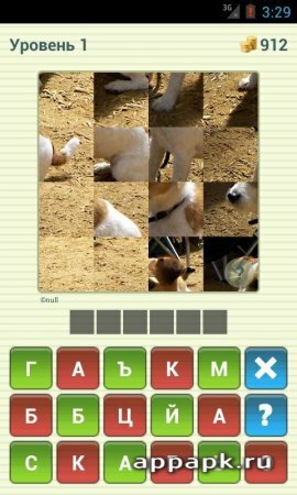 Угадай животное ответы