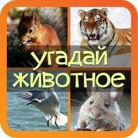 Угадай животное ответы