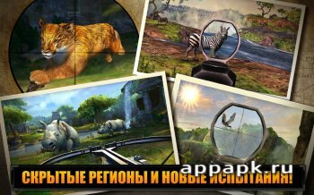 DEER HUNTER 2014 скачать